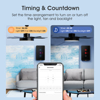 Type c Timing Voice App Wireless Remote Control Wifi Smart Fan Light Switch For Alexa Google Home Tuya Smart Home